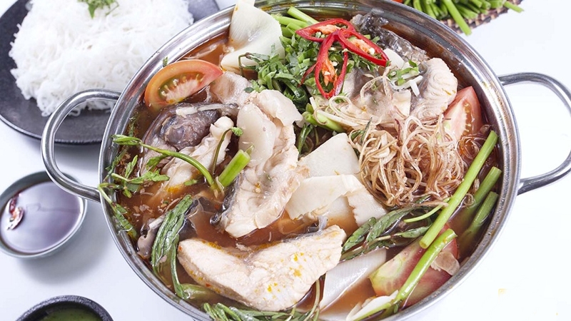 CÁ MÚ NGHỆ LẨU (P) (Phần)